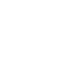 Mladá fronta