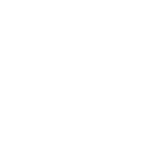 Palmknihy